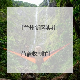 兰州新区头茬苜蓿收割忙