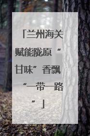 兰州海关赋能陇原“甘味”香飘“一带一路”