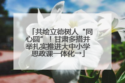 共绘立德树人“同心圆”！甘肃多措并举扎实推进大中小学思政课一体化→
