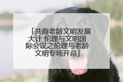 共商老龄文明发展大计 伦理与文明国际会议之伦理与老龄文明专场开幕