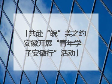 共赴“皖”美之约 安徽开展“青年学子安徽行”活动