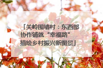 关岭围墙村：东西部协作铺就“幸福路” 描绘乡村振兴新图景