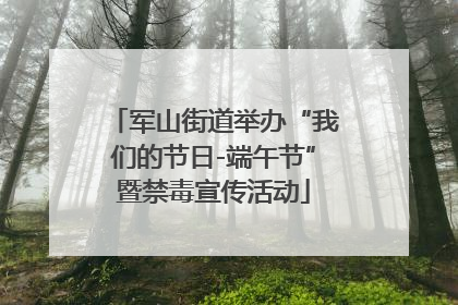 军山街道举办“我们的节日-端午节”暨禁毒宣传活动