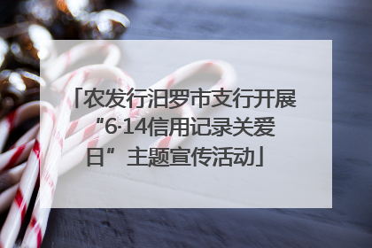 农发行汨罗市支行开展“6·14信用记录关爱日”主题宣传活动