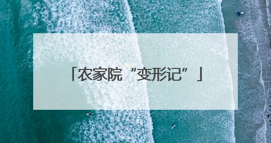农家院“变形记”