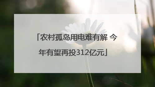 农村孤岛用电难有解 今年有望再投312亿元