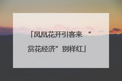 凤凰花开引客来 “赏花经济”别样红