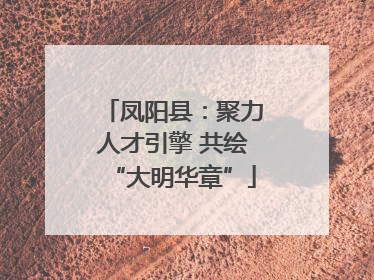 凤阳县：聚力人才引擎 共绘“大明华章”