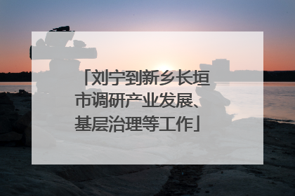 刘宁到新乡长垣市调研产业发展、基层治理等工作