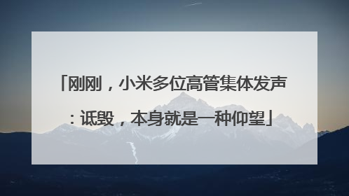 刚刚，小米多位高管集体发声：诋毁，本身就是一种仰望