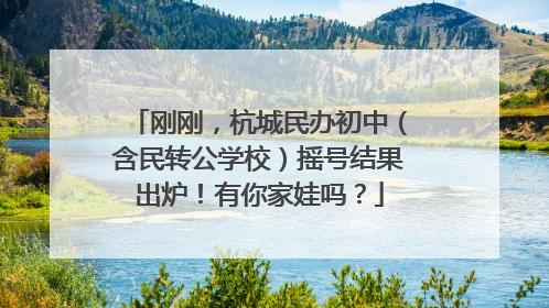 刚刚，杭城民办初中（含民转公学校）摇号结果出炉！有你家娃吗？