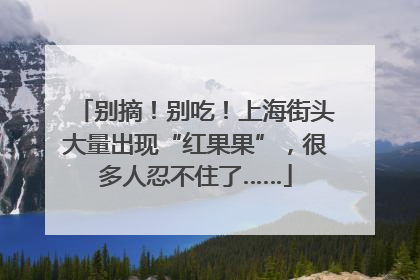 别摘！别吃！上海街头大量出现“红果果”，很多人忍不住了……