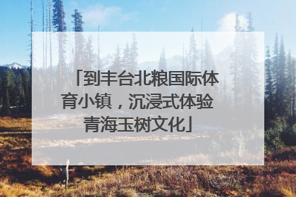 到丰台北粮国际体育小镇，沉浸式体验青海玉树文化