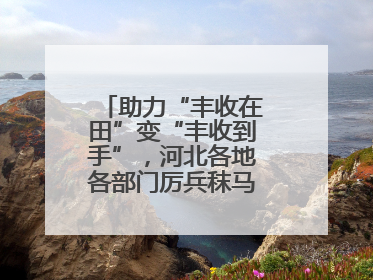 助力“丰收在田”变“丰收到手”，河北各地各部门厉兵秣马迎战“三夏”