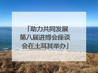 助力共同发展 第八届进博会座谈会在土耳其举办