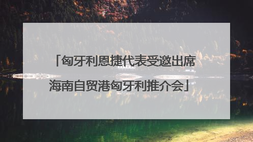 匈牙利恩捷代表受邀出席海南自贸港匈牙利推介会