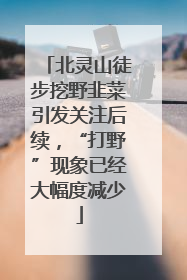 北灵山徒步挖野韭菜引发关注后续，“打野”现象已经大幅度减少