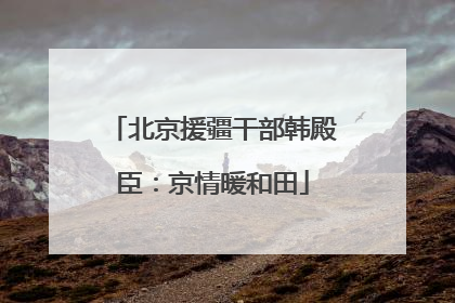 北京援疆干部韩殿臣：京情暖和田