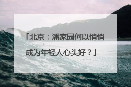 北京：潘家园何以悄悄成为年轻人心头好？