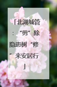 北湖城管：“剪”除隐患树“修”来安居行