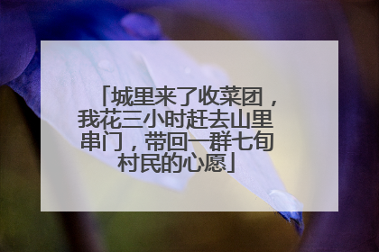 城里来了收菜团，我花三小时赶去山里串门，带回一群七旬村民的心愿