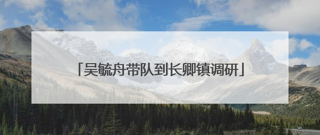 吴毓舟带队到长卿镇调研