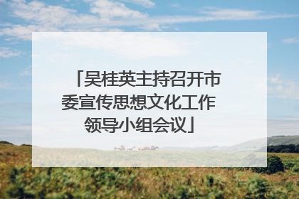 吴桂英主持召开市委宣传思想文化工作领导小组会议