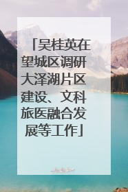 吴桂英在望城区调研大泽湖片区建设、文科旅医融合发展等工作