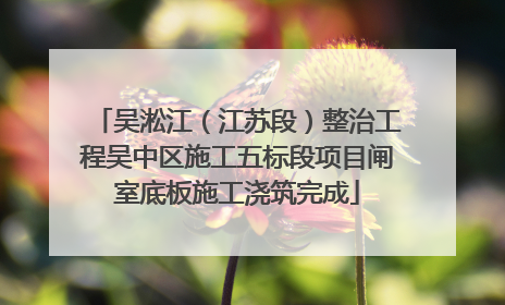 吴淞江（江苏段）整治工程吴中区施工五标段项目闸室底板施工浇筑完成