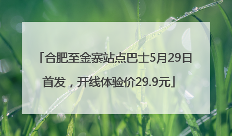 合肥至金寨站点巴士5月29日首发，开线体验价29.9元