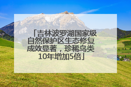 吉林波罗湖国家级自然保护区生态修复成效显著，珍稀鸟类10年增加5倍