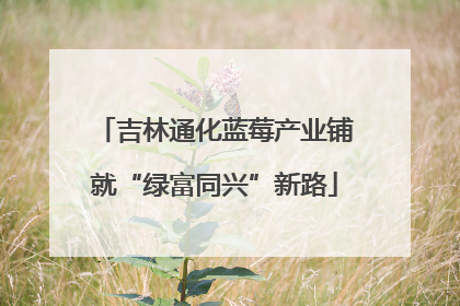 吉林通化蓝莓产业铺就“绿富同兴”新路