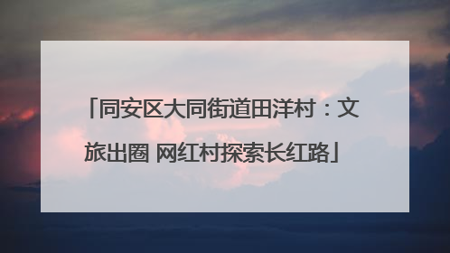 同安区大同街道田洋村：文旅出圈 网红村探索长红路