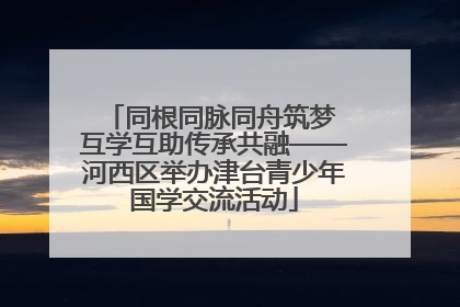 同根同脉同舟筑梦 互学互助传承共融——河西区举办津台青少年国学交流活动