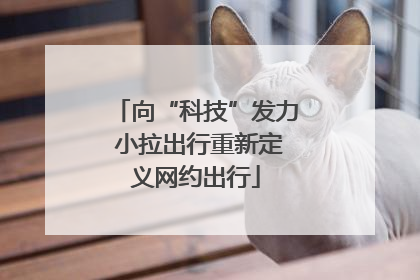 向“科技”发力 小拉出行重新定义网约出行
