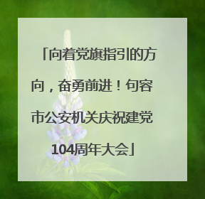 向着党旗指引的方向，奋勇前进！句容市公安机关庆祝建党104周年大会