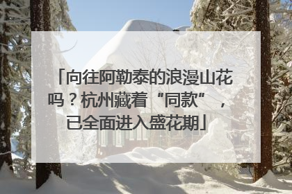 向往阿勒泰的浪漫山花吗？杭州藏着“同款”，已全面进入盛花期