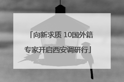向新求质 10国外籍专家开启西安调研行