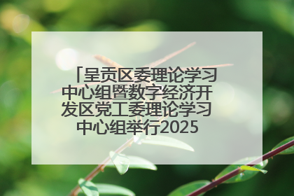 呈贡区委理论学习中心组暨数字经济开发区党工委理论学习中心组举行2025年第七次学习会议