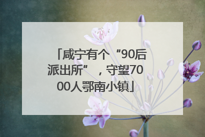 咸宁有个“90后派出所”，守望7000人鄂南小镇