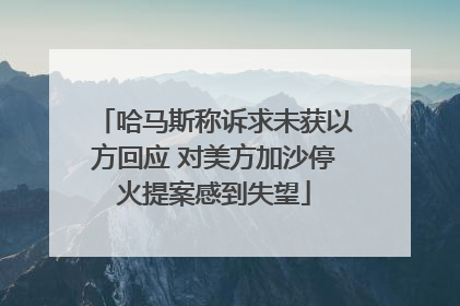 哈马斯称诉求未获以方回应 对美方加沙停火提案感到失望