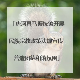 唐河县马振抚镇开展民族宗教政策法规宣传 营造团结和谐氛围