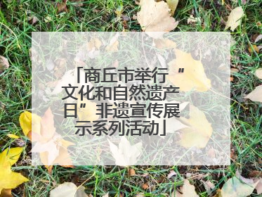 商丘市举行“文化和自然遗产日”非遗宣传展示系列活动