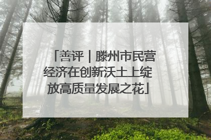 善评｜滕州市民营经济在创新沃土上绽放高质量发展之花