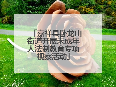 嘉祥县卧龙山街道开展未成年人法制教育专项视察活动