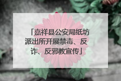 嘉祥县公安局纸坊派出所开展禁毒、反诈、反邪教宣传