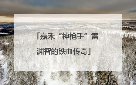 嘉禾“神枪手”雷渊智的铁血传奇