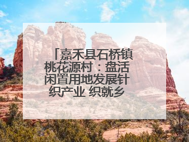 嘉禾县石桥镇桃花源村：盘活闲置用地发展针织产业 织就乡村振兴新图景