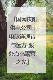 国网庆阳供电公司：电脉连通诗与远方 服务点亮露营之光
