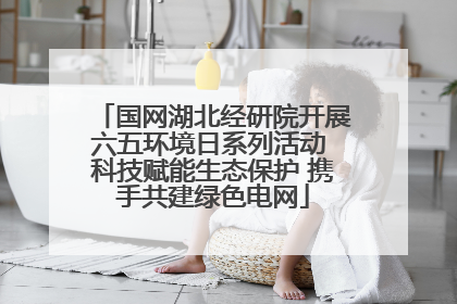 国网湖北经研院开展六五环境日系列活动 科技赋能生态保护 携手共建绿色电网